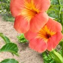 안담농장 이미지