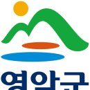 영암약국 이미지