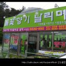 돌꽃향기 날리며 이미지