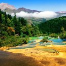 사천황용