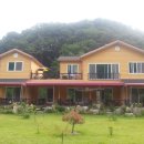 삼나무집펜션 이미지