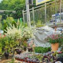 예나농장 이미지