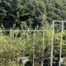 머스트화이트2동 네이버블로그