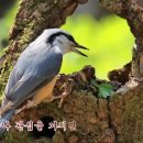 마음(心) 공부//소중한 인연(얼굴이 먼저 떠오르면 보고싶은 사람이름이 먼저 떠오르면 잊을수 없는 사람...) 이미지