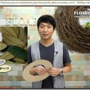 플로아트 이미지