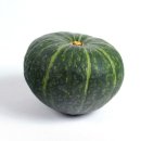 뿌리요양병원 이미지