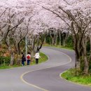 신풍리-3 이미지