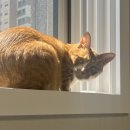 장평3로7길 이미지