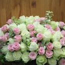 Flowershop 이미지