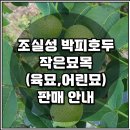 (주)정상농업회사법인 이미지