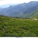 해뜨는집 이미지