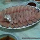 팜데이 이미지