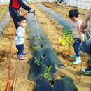 창주농장 이미지