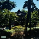 석호정 | [일상 포토덤프] 남산 둘레길 풍경(카페 하우스Haus, 석호정, 남산돈까스, 광화문교보문고)