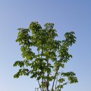 삼산체육관역 1번 출구 이미지