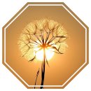 푸른올리브 | 올리브영 푸른쥬스 섭취방법 및 비교 후기