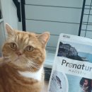 새론메디 이미지