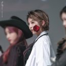 다미광고 이미지