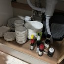 레몬향데이지 이미지