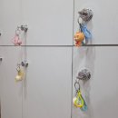 리틀포레짐 이미지