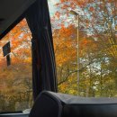 체코 🇨🇿🍂 나의 첫 동유럽, 프라하 여행 / 카를교, 프라하 시내, 꼴레뇨 맛집, 굴뚝빵