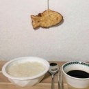 호호붕어빵 이미지