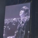 서무수건강명가산격점 | 윤도현밴드 30주년 콘서트ㅡ대구 YB REMASTERED 3.0 : Transcendent