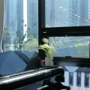 JC피아노스튜디오 학원 이미지