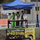 도계읍사무소 이미지