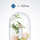 화장품할인매장 이미지
