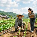 농업회사법인주식회사두지팜 | 농업법인회사 설립에 필요한 필수조건-자본은 얼마나 있어야 하는지? 구성원은 몇명이어야 하는지?