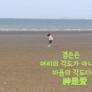 꽃피는하루 이미지