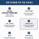 성남동물병원 | 러시안블루 고양이 치아흡수성병변(FORL) 진단 및 치관절제술(Crownectomy) 시술 후기/ 위례 성남 동물병원