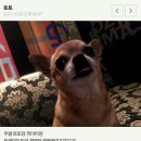 토토모텔 이미지