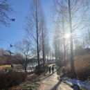 시민문화체육공원 산책로 이미지