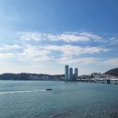 [국내여행] 부산 여행 부산 가볼만한 곳 부산 맛집