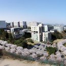 명지대학교 이미지