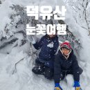 덕유산 눈꽃여행 곤도라케이블카 타고 상제루쉼터~향적봉 정상 가벼운 등산(25년 1월)