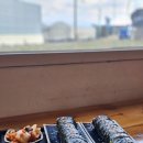 정성김밥 이미지