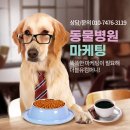 더블유동물병원 이미지