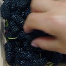 반계농장 이미지