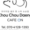 슈슈댕 이미지