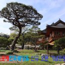 희온포레