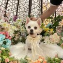 오늘, 더 예쁘게 이미지