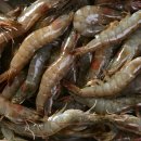 밥도둑반찬가게 이미지