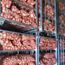 화양농장 이미지