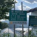 태규농장 | 경기광주/퇴촌 토마토 농장_토마토 직거래_토마토 산지 배송_찰토마토_퇴촌 토마토 맛집_맛있는 토마토...