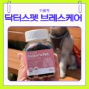 언니네 펫 | 하율펫 닥터스펫 브레스케어 후기 기관지 약한 강아지를 위한 데일리 케어 영양제