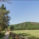 해비치호텔 이미지