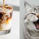 별 하나에 커피 이미지